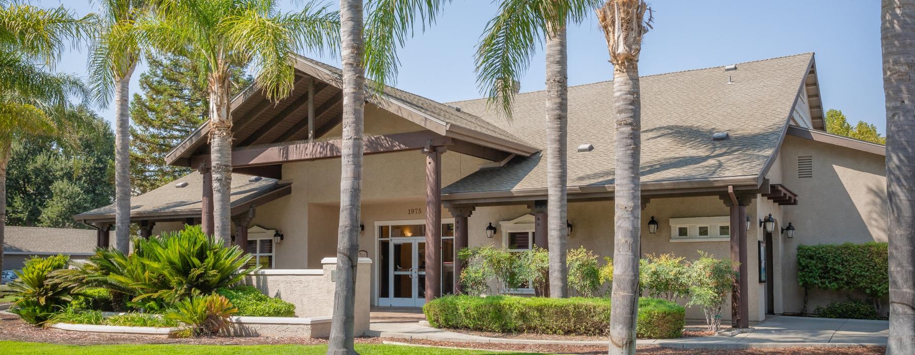 a house with palm trees