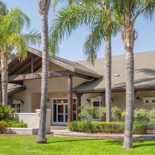 The essence of exceptional living a house with palm trees