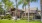 a house with palm trees